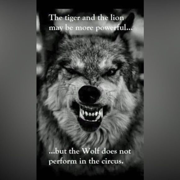 Unlisted items - Picture 1 of 1